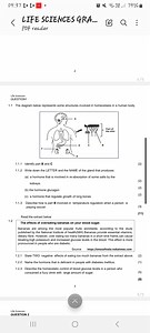 Life Sciences Question1.1 The diagram below represents some s... | Filo