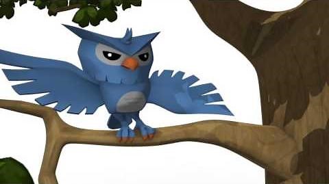 Animal Jam Owls - Out on a Limb