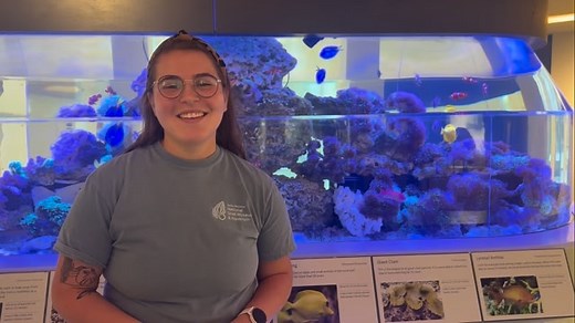 88 reactions | Today, learn about our coral reef exhibit in the Living Gallery with Aquarist, Claire! | Bailey-Matthews National Shell Museum & Aquarium | Facebook