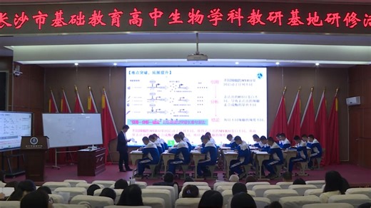 一轮复习——基因的表达及调控