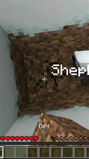 Beginning of the End! #minecraft #gaming #fyp #foryou