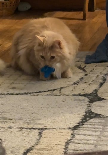 Steve after sarcoma removal number 2