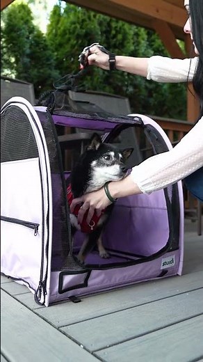 Sturdi Single Modular Pop-Up Kennel