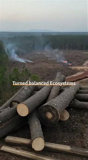 Colonization: From Living Ecosystems to Resource Extraction ⚠️🌎 #shockinghistory