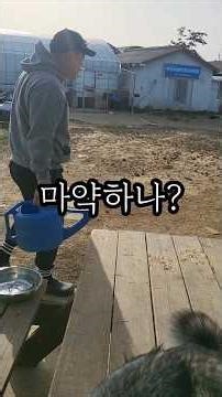 추억의 영상