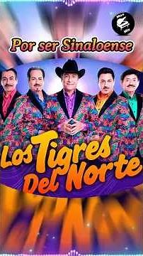 🇲🇽 Por ser sinaloense 🪗 #lostigresdelnorte #norteñas #corridos #exitos #mexico #rolitas #clasicos
