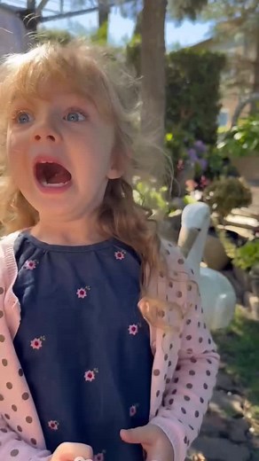 Dianne Buswell on Instagram: "I booked my brother and zofia to come watch me in the show 🥹❤️ she was so excited I can not wait !"