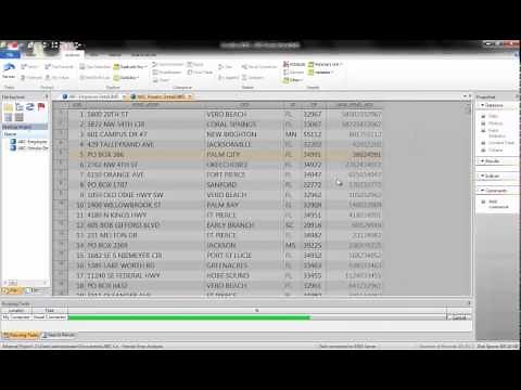 CaseWare IDEA Tutorials: Using Fuzzy Logic to Detect Matching Data