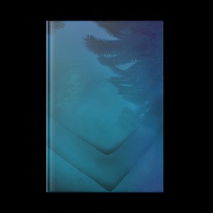 The day is FINALLY here!! Tarryn Fisher 's AN HONEST LIE is available now and we need to know... how long will it take you to devour this book? | The Hive | Facebook