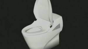 Japanese toilets flush with pride
