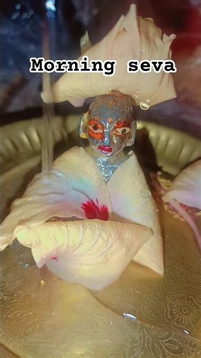 Some efforts from us, and some creep from them ❣️💯 #laddugopal #bhakti #krishna #tranding #new #s...