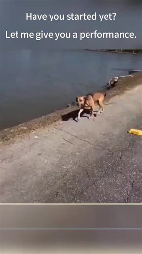 Join the LIVE Incentive Program Today!