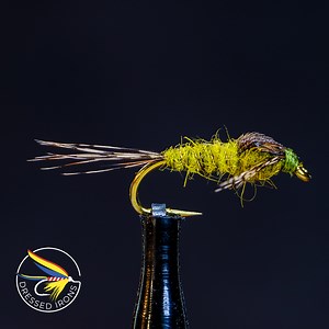 Tying the BWO Nymph