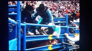 1987 NFR final go...Gary Hemsted matches up with Calgary Stampede's great bronc Guilty Cat. Gary splits 2nd & 3rd with an 81 point ride. Guilty Cat was Canadian Saddle Bronc of the Year (1981 & 83), and Reserve PRCA Bareback of the Year. Cat made 12 trips to the NFR, and 17 to the CNFR. Cat is the uncle to Beutler's Challenger and Calgary's Kloud Gray who shared the 1987 Saddle Bronc of the Year trophy. Guilty Cat was a son of Hall of Fame sire Gray Wolf. | Tooke Bucking Horses