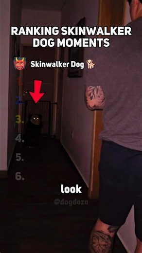 Ranking Top SKINWALKER DOG Moments!!! 🐶😱