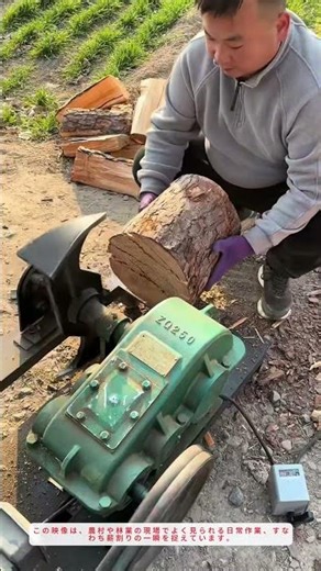 薪割り機の正しい使い方！安全かつ効率的な作業のコツを解説【農村生活】