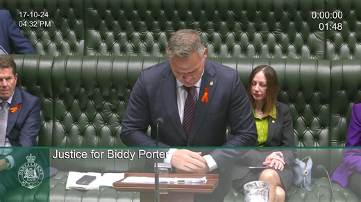 JUSTICE FOR BRIDGETTE 'BIDDY' PORTER Today was the day! Following the ePetition launched by Advocacy Australia, supported by all of you, it was finally debated in the NSW Legislative Assembly. I wish to thank my fellow members of parliament for contributing to the debate and for supporting the petition, and Biddy's family. The work now continues to effect change | Philip Donato