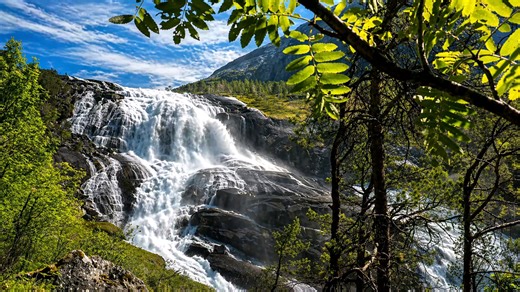 A giant waterfall crashing through a dense forest