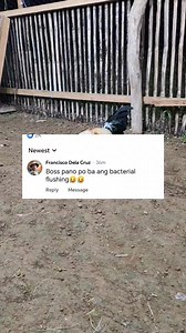 16K views · 277 reactions | Tamang pag bacterial flushing para iwas antibiotic resistance. #tatakexcellence #AMTYL #ambroxitylmax | Cris gamebirds tv | Facebook