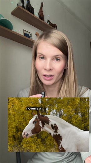 Зачем кастрировать жеребцов: разбор причин и преимущества