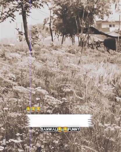 😂😂😂 funny Account power l🔥l#foruyou #foryoupagе #sindhi_status_songs #buhran_tv #funnyaccount