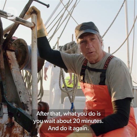 Mike Rowe joins a crew harvesting cannonball jellyfish (not harmful!) exported for crunchy treats in Asia 🪼🌊 #DirtyJobs | Discovery Channel UK