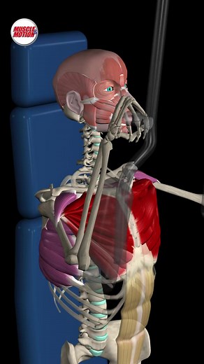 Unveiling the Science Behind Muscle Growth! 🌟 🔥 Discover what truly happens in your muscles during exercises like the pec deck fly machine, and elevate your chest workouts for maximum gains! 💪 🔬 When you engage in exercises like the pec deck fly, a fascinating interplay occurs at the microscopic level in your muscles, particularly in the pectoralis major. 🚀 By understanding these microscopic movements, you can better appreciate each rep and its impact on your muscle growth. https://mmstreng