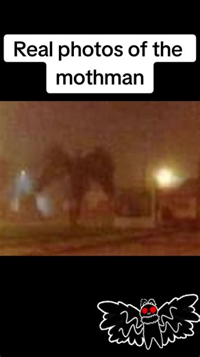 Encounter with the Mothman: A Paranormal Phenomenon!!