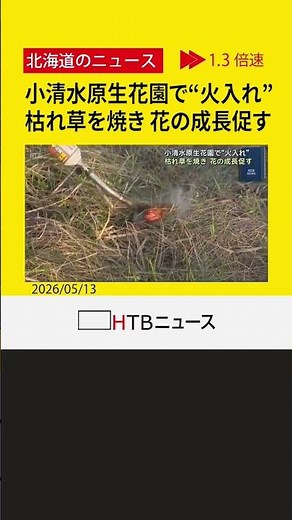 春の訪れを告げる小清水町・原生花園の風物詩「野焼き」 幻想的な煙に包まれる