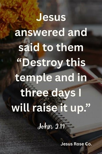 Catholic Bible Study | John 2:19 | Jesus Rose Co.✝️