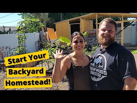 How To Start Your Backyard Urban Homestead