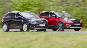 Opel Grandland X: Kaufberatung - AUTO BILD