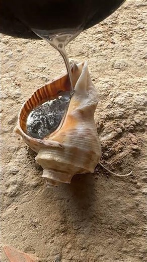 Backyard aluminum snail casting project #metalcasting #restoration #shorts