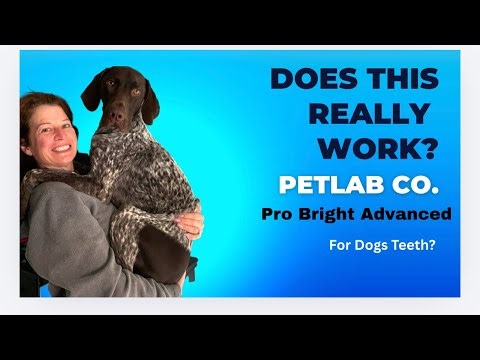 Does your dog have bad breath?