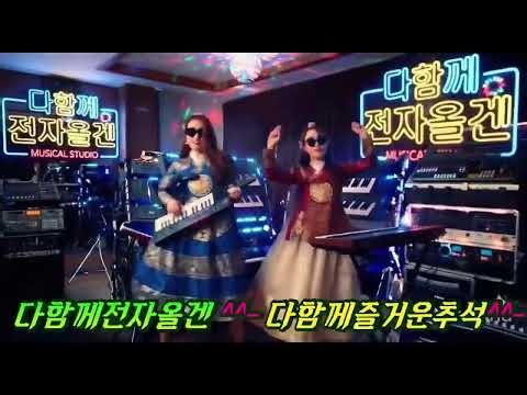 전자올겐.전자올겐디스코메들리#관광버스.경음악디스코.드라이브뮤직365일#관광디스코 260925
