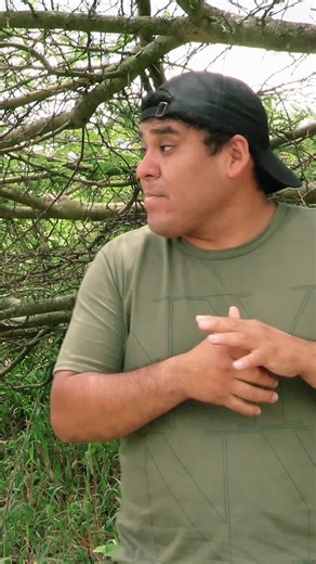 Me dan como a caja 📦