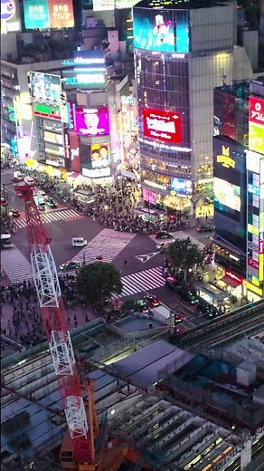 시부야 스카이에서 바라 본 시부야 스크램블 교차로 #shibuya #shibuyasky #tokyo