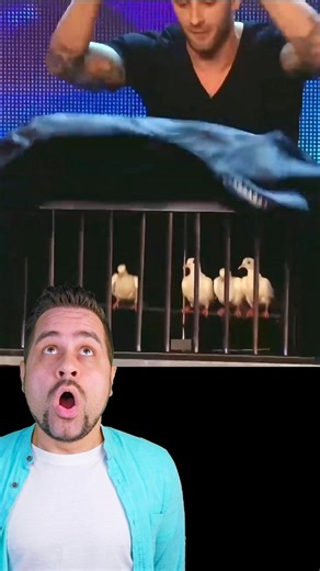 DENIS MAGIC SHOW | HOW MAGICIANS VANISH DOVE CAGE! 😲🕊️ | Instagram