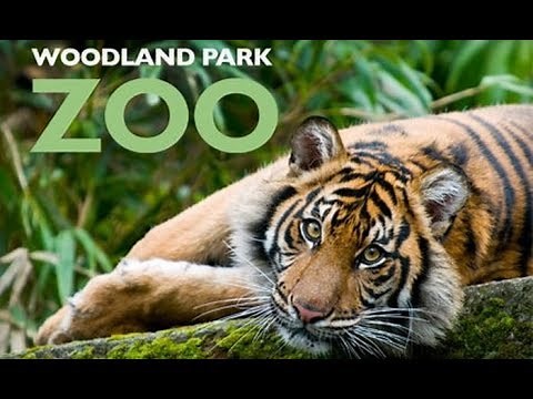 Attractions— Visit Seattle Zoo (Woodland Park)