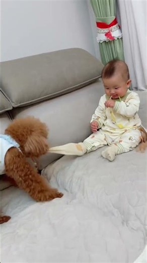 Amy's Quick Rescue: Saving Her Brother's Socks in a Flash