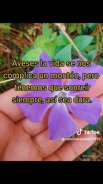 Videos de Catalina Ramirez (@catalinaramirez7035) con “sonido original - CME-STORE”