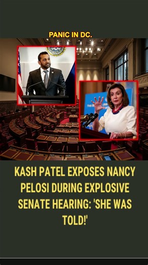 The donor class just lost their protector. Follow the email logs. 💸 #Receipts #Pelosi #Money #Story | USA Focus News 005