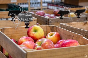 Living in Ellijay, GA