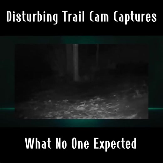 Disturbing Trail Cam Captures What No One Expected | Extra Alien | Facebook