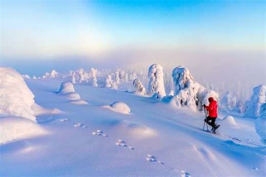 We Asked 5 Travel Experts Their Favorite Winter Wonderland Destinations—and They All Said the Same Thing