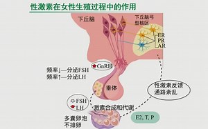 ORBITRAP高分辨质谱在环境中毒性物质筛查中的应用