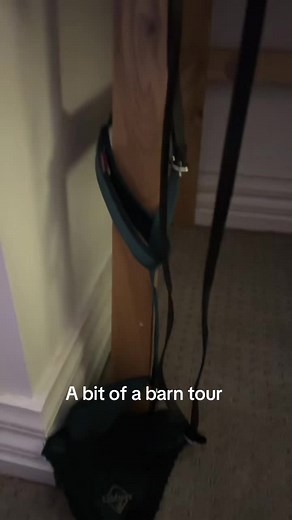 First vid i also might be getting some more stuff like horses and tack