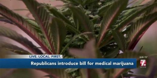 Lawmakers make the case for medical marijuana bill