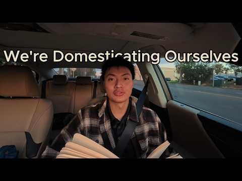 Human Domestication: The Realities of a Job