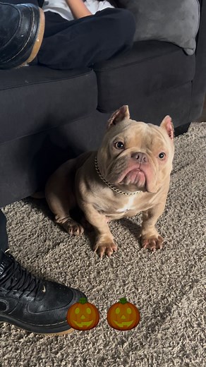 DenverMetro Plumbing on Reels